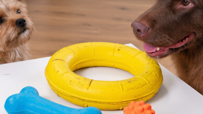 How to Customize Dog Toys for Your Brand?