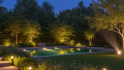 Why Choose LED Lights for Outdoor Gardens?