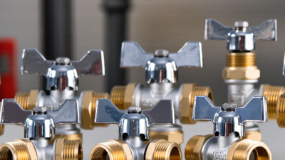 How to Choose the Best Brass Angle Valve?