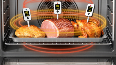 2026 Top How to Use a Meat Thermometer in Convection Ovens?