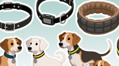 Top 10 Pet Collar Types What Size Collar Does My Pet Need?
