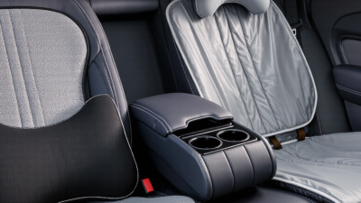 What Are China Top Automotive Seating Accessories?