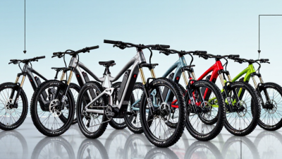 China Top Fast Electric Dirt Bike Supplier?