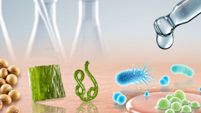 What Is Fermented Skincare for the Skin Microbiome?