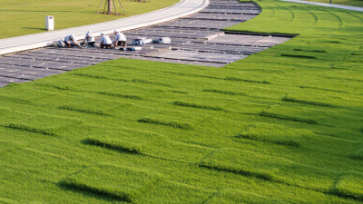 Why Choose Grass Lawn Mats for Global Landscaping Projects?