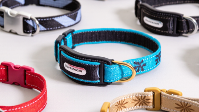 What Are Trendy Pet Collar Ideas from China?