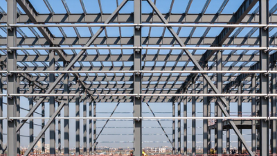 What Is a Steel Frame and How Does It Support Buildings