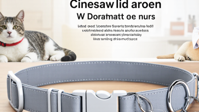 Why Is a Pet Collar Safe to Wear?