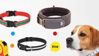 What to Look for in a Good Pet Collar?