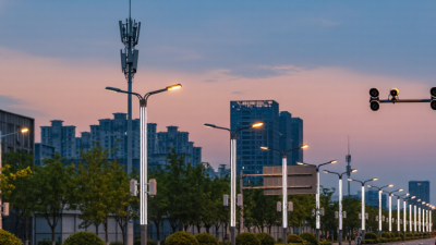 Why Choose Smart Light Poles for Global Projects?