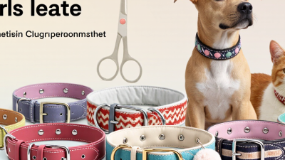 China Top 10 Decorative Collar Suppliers Why Pets Scratch?