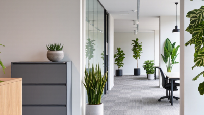 What Are the Top 10 Artificial Office Plants for Offices?