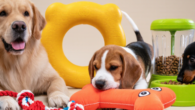 2026 Best Dog Toys How to Ensure Global Safety Standards?