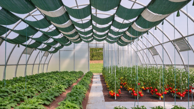 How to Choose Polytunnel Shade Netting for Your Crop?