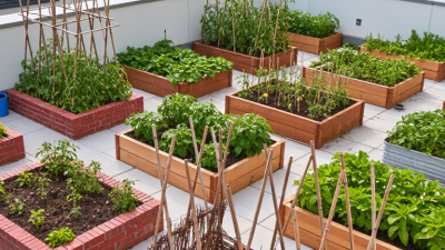 China Top 10 Budget Friendly Raised Garden Bed Builds?