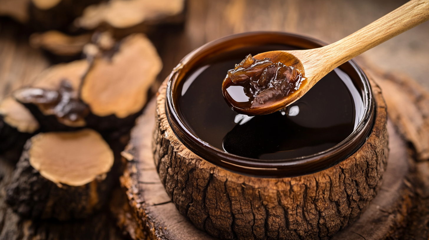 Chaga Extract Trends to Watch in 2025 Global Market Comparison Insights