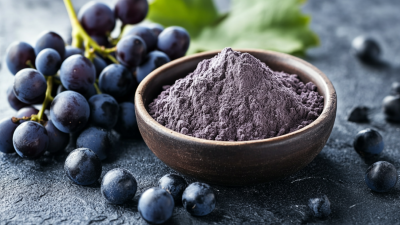 Understanding the Quality Standards of Grape Fruit Seed Powder for Global Buyers