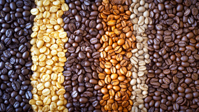 Understanding the Quality Standards for Roasted Coffee in Global Supply Chains