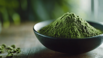 Elevate Your Health with the Benefits of Organic Broccoli Powder for Global Buyers