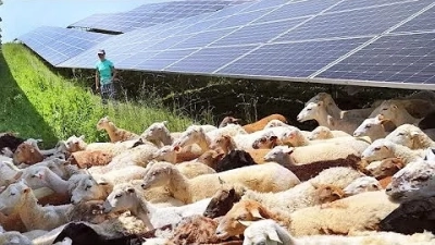 Global Market Insights: The Future of Light Solar Solutions in 2025
