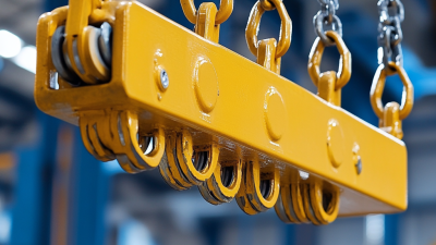 Ultimate Guide to Choosing the Right Chain Hoist for Your Business Needs