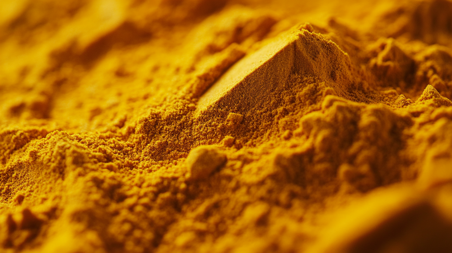 7 Unique Benefits of Choosing Organic Curcumin for Your Business Needs