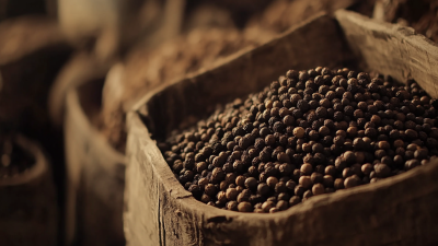 The Evolution of Black Pepper Extract in Global Trade