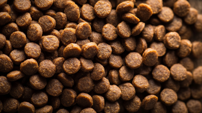 Ways to Choose the Best Dry Dog Food for Your Fur Baby