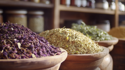 Five Compelling Reasons Global Buyers Choose Natural Herb Extracts for Their Products