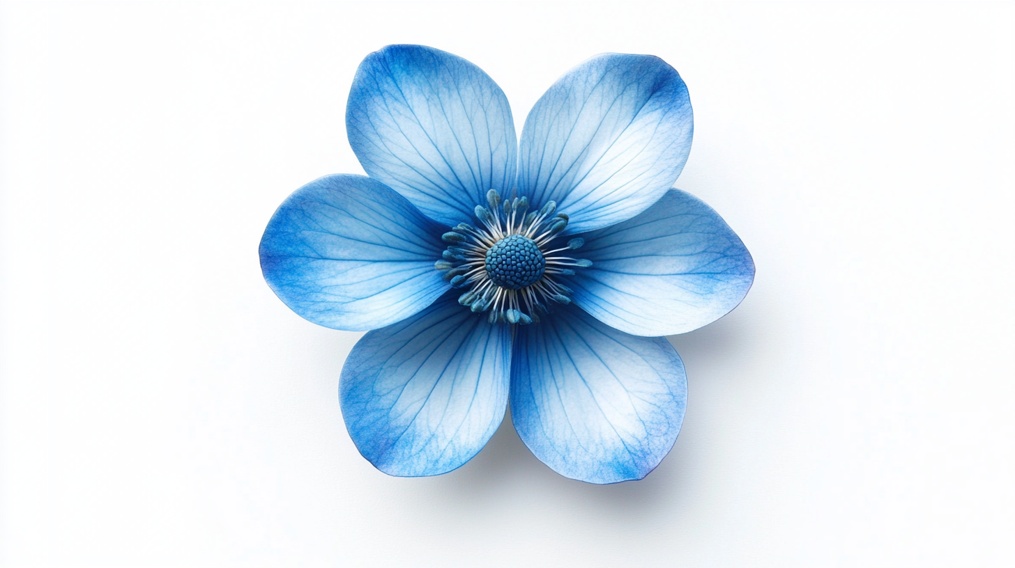 5 Creative Ways the Blue Flower Hair Clip Enhances Your Product Line and Attracts Customers