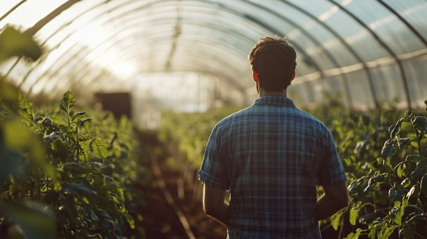 Innovative Advantages of Tunnel Greenhouses for Sustainable Agriculture