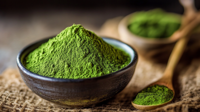 Ultimate Approaches for Sourcing the Best Weight Loss Powder in Global Markets