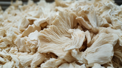 Top 10 Maitake Extract Manufacturers from China at the 137th Canton Fair