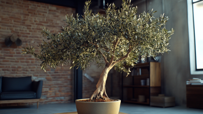 Ultimate Checklist for Choosing the Best Artificial Olive Tree Large for Your Space