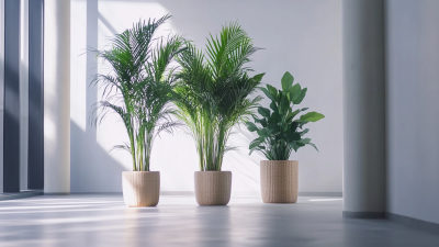 Global Procurement of Superior Artificial Plants from China's Leading Manufacturers