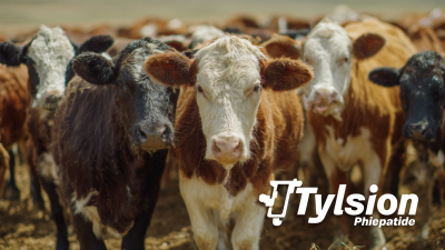 Exploring Effective Alternatives to Best Tylosin Phosphate for Livestock Health