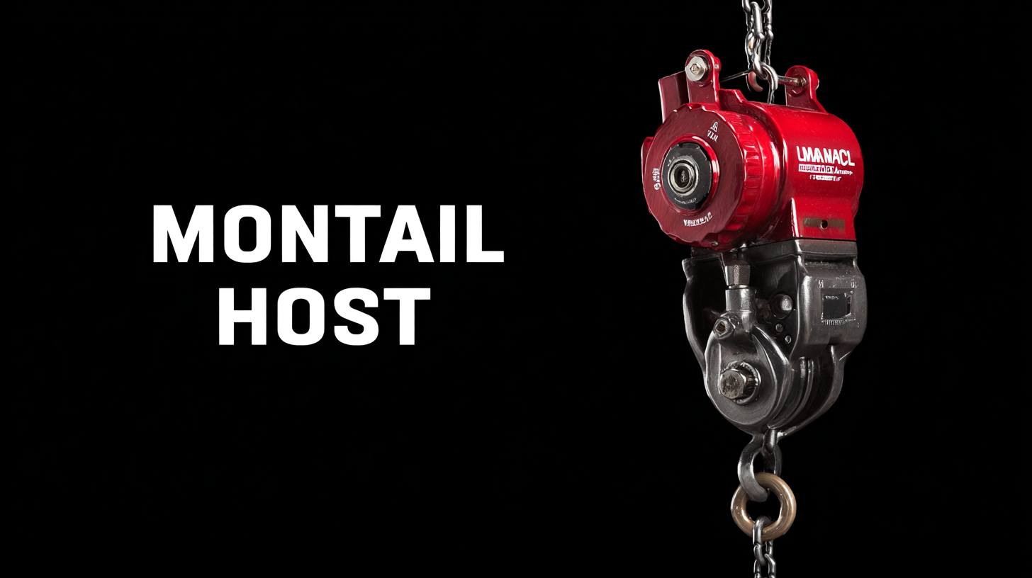 Challenges Facing Buyers When Choosing the Best Manual Chain Hoist