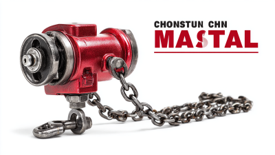 Challenges Facing Buyers When Choosing the Best Manual Chain Hoist