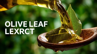How to Identify High-Quality Olive Leaf Extract for Your Business Needs
