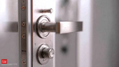 Unlocking Security Advantages with Best Entrance Door Locks