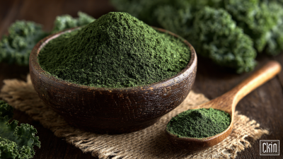 Advantages of Incorporating Best Organic Kale Powder into a Healthy Diet