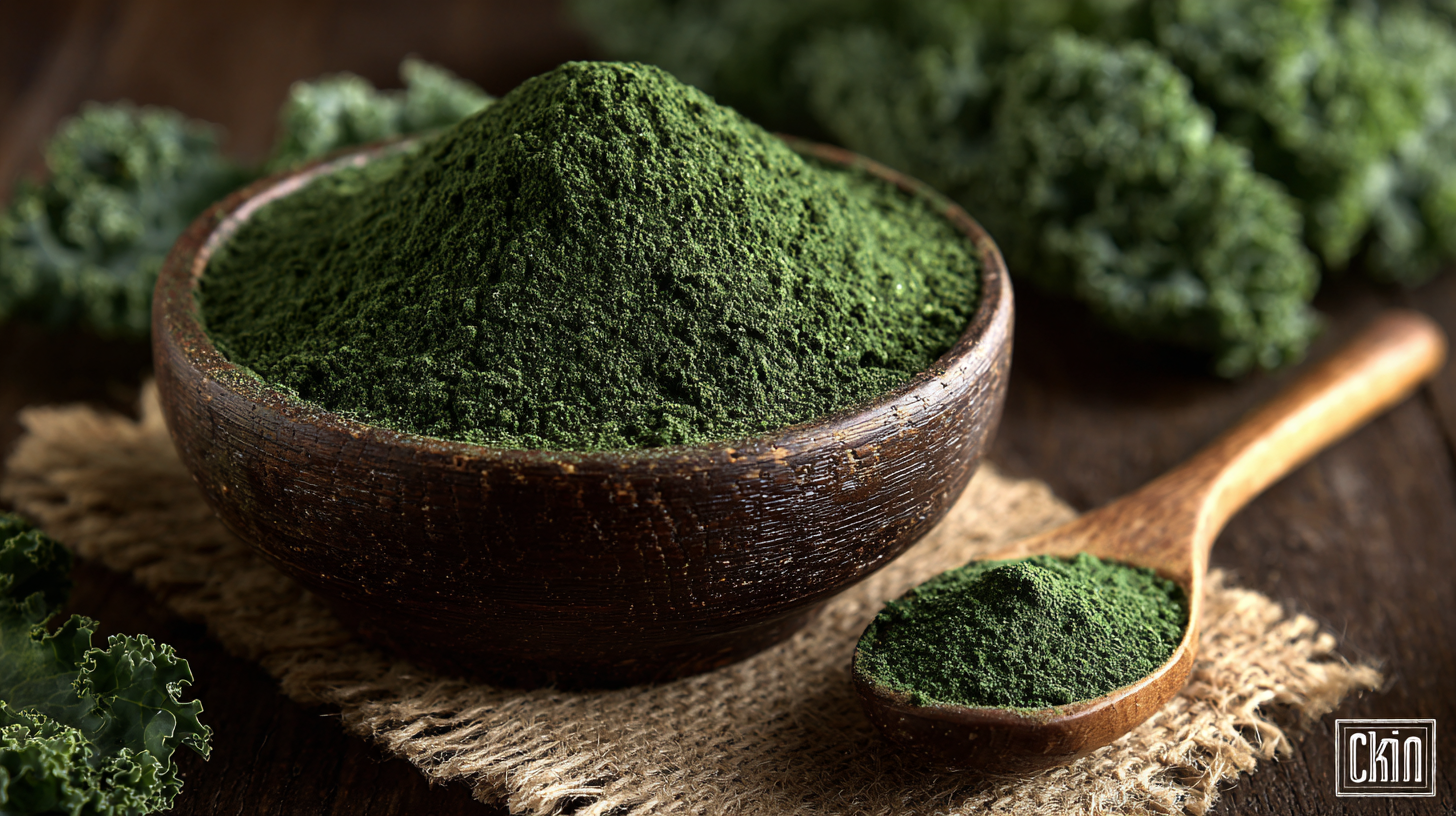 Advantages of Incorporating Best Organic Kale Powder into a Healthy Diet