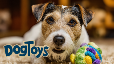 The Ultimate Guide to Selecting the Best Dog Toys for Global Buyers with Expert Insights and Market Trends