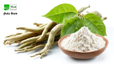 Understanding the Production Standards for Best Pueraria Lobata Extract in the Global Market