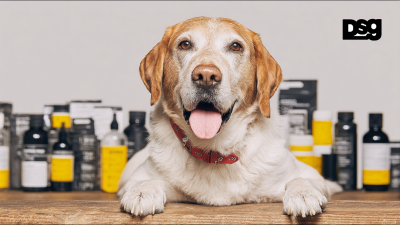 7 Essential Tips for Sourcing the Best Dog Products Globally