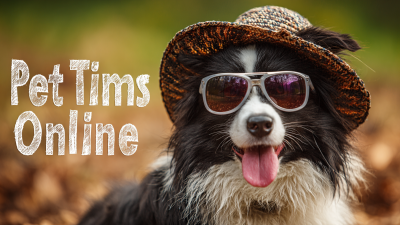 5 Essential Tips for Finding the Best Pet Items Online