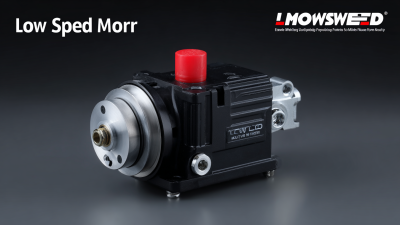 Discover Premium Low Speed Motors Directly from China's Leading Manufacturing Factory