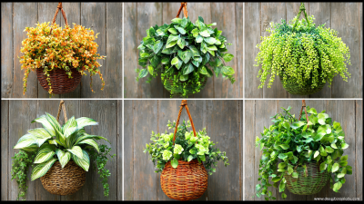 15 Amazing Artificial Plants Perfect for Hanging Baskets
