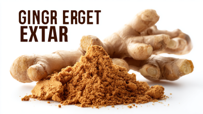 Unlocking Excellence: Essential Tips for Sourcing the Best Ginger Extract Manufacturers