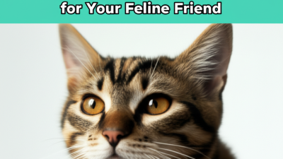 Understanding the Issues with Choosing the Best Good Canned Cat Food for Your Feline Friend